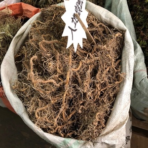 入地蜈蚣 中草药材蜈蚣草 水娱蚣倒地 蜈蚣七指蕨 500g包邮