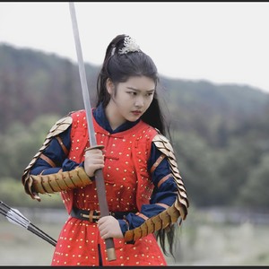 【真武堂】仿明代《出警入跸图》款环臂甲 大明铠甲