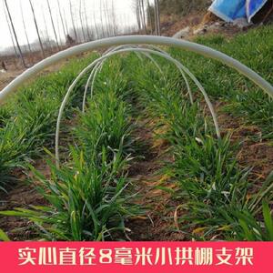农用插苗小拱棚支架拱竿地拱杆塑钢料杆不变形小弓遮阳棚拱架小棚
