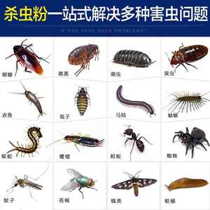 跳虫杀虫剂家用