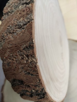 邳果州银杏菜板实木砧板家用整木圆形木号加厚大白木菜墩老树