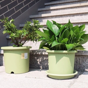 加仑花盆爱丽丝deepot花盆高款简约加仑盆加厚塑料盆栽阳台大号深