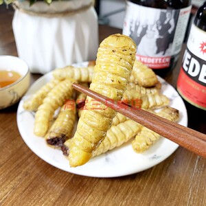 食用昆虫美食油炸木蛤虫柴虫美味虫子零食木花虫熟食柞天牛发财虫