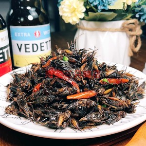 00今银花家居专营店天猫蝈蝈食饲料