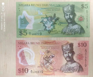 全新unc文莱5元,10元塑料钞二张一套 尾二同(2011年版)_阿里巴巴找货