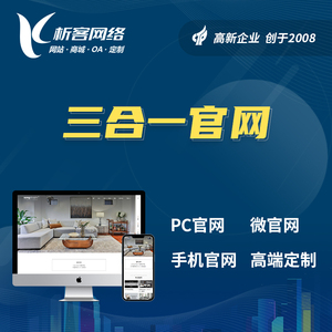 三合一企业官网高端定制设计做pc网站手机微网站建设一条龙全包