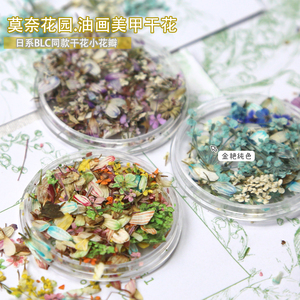 网红同款日系小清新干花彩色花瓣美甲装饰品指甲配件混装材料diy