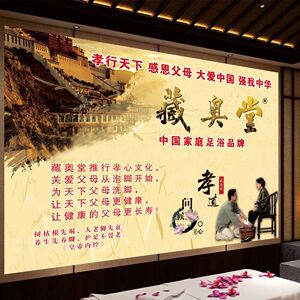 藏奥堂足浴精华液