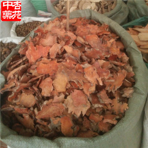 中药材金刚头500克包邮 金刚藤菝葜拔契中草药金刚刺泡酒料