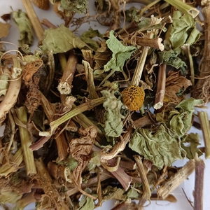 广西中药材 天文草 别名雨伞草 金纽扣 黄花苦草 小铜锤草500克件