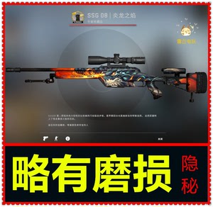 csgo皮肤鸟狙
