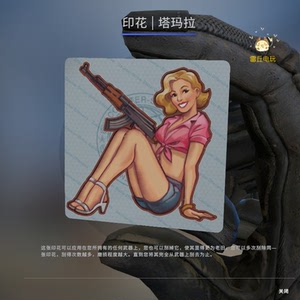 csgo 饰品 皮肤 贴纸 枪装饰 印花 | 塔玛拉 海报女郎 现货