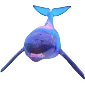 00im弦锅淘宝酷狗繁星直播礼物上古巨鲲月光之城海洋精灵锦鲤浪漫