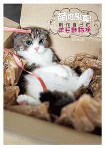 预售正版  萌可乱真！创作自己的羊毛毡猫咪 中国台湾角川生活风格 原版进口书