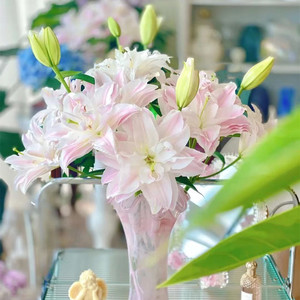 香水百合鲜花速递智慧女神重瓣百合上海直发2扎 江浙沪皖顺丰包邮