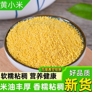 黄小米新米500g农家自种粘糯米五谷稀饭杂粮新鲜包粽子专用小米粥