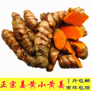 姜黄新鲜黄姜正宗红姜染色糯米小黄姜咖哩现挖黄肉姜可种1斤包邮