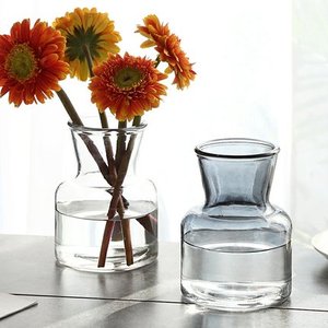 欧式家居装饰北欧玻璃花瓶摆件客厅餐桌摆设水培植物透明干花花瓶
