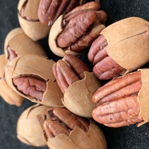 辰颐物语新货爆好剥碧根果420克坚果零食长寿果新鲜制作厂家直发