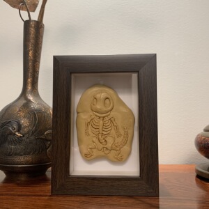 小火龙化石宝可梦宠物小精灵皮卡丘生日礼物周边盲盒腐蚀妙蛙种子