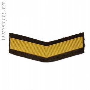 1980年代 苏联武装力量陆军4年准尉军衔袖章 臂章
