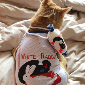 夏季抖音同款宠物幼猫咪英短背心可爱大白兔小包包空调房网格衣服
