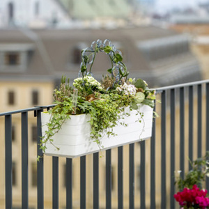 利快自吸水花盆 捷克进口懒人北欧轻奢壁挂阳台院栅栏长方形盆栽