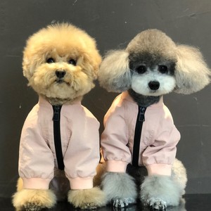 人狗亲子装泰迪比熊巨贵大型犬狗狗衣服西服套装四脚礼服冬0人付款