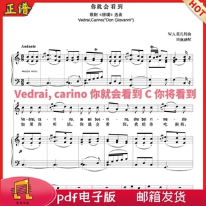 你就会看到vedrai carino 原c调正谱声乐五线谱 莫扎特唐璜中德