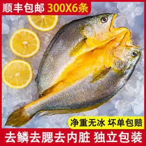 宁德霞浦黄鱼鲞海鲜特产醇香大黄鱼半干脱脂黄花鱼水产黄瓜鱼腌制