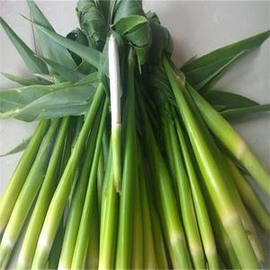 东北特产高粱乌米现摘新鲜带皮冷冻乌咪速冻乌苠个大肉嫩农家蔬菜