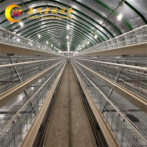 厂家直销全自动化阶梯蛋鸡笼养鸡场全套设备养殖场专用四层蛋鸡笼
