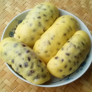 红豆馒头(限江浙沪皖)纯手工粗粮五谷玉米南瓜卷儿童营养早餐5个