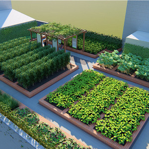 楼顶花园 屋顶农场 屋顶菜园 屋顶规划设计与施工