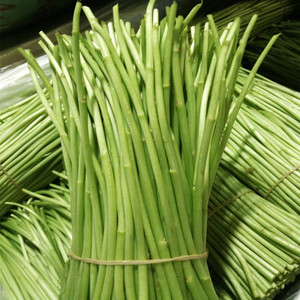 501人付款淘宝新鲜藜蒿鱼蒿芦蒿