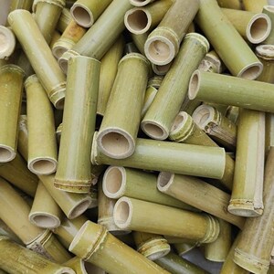 蟋蟀蛐蛐中号竹筒外出捉蛐蛐快递打包用蟋蟀用具50个包邮