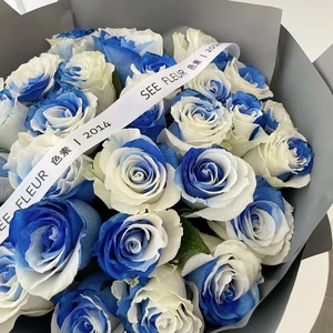 七夕情人节厄瓜多尔进口玫瑰天空蓝白鲜花花束广州同城全国顺丰包