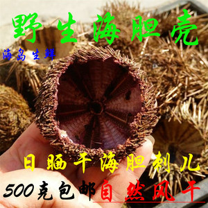 中药辅料野生海胆壳新鲜日晒干海胆壳药引子海胆粉