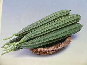 广东丝瓜 新鲜蔬菜 八棱瓜角瓜棱角丝瓜粤菜700g左右整根折断发货