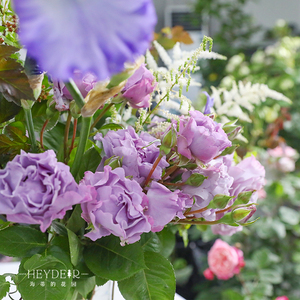 【淡紫淡蓝】淡紫淡蓝品牌,价格 - 阿里巴巴