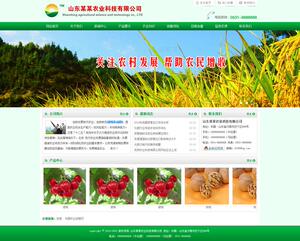 源码下载站网站源码