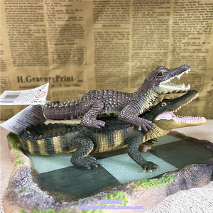 safari正品仿真动物模型摆件儿童认知玩具礼物 凯门鳄 鳄鱼美洲鳄