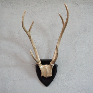 北欧风格复古鹿角壁饰 包邮 客厅墙面玄关挂件 卧室房间店铺墙饰