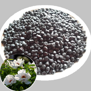 油用凤丹牡丹种子紫斑牡丹鼠姑鹿韭白茸木芍药百雨金洛阳花富贵花