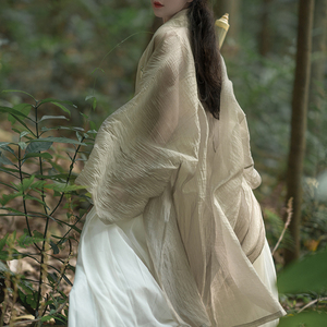 松鹤亭 鸣蝉 宋制仿铁拐墓长衫百迭裙飞机袖春夏原创汉服设计绣花