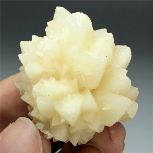 天然结晶石花状方解石晶簇透明亮度好矿物晶体矿石教学标本原石