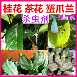 杀虫剂桂花树山茶花爪兰专用药介蚧壳虫打虫治杀虫药除虫叶生病药