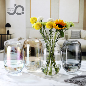 欧式现代简约束口玻璃花瓶小口鲜花富贵竹插花装饰摆件餐桌玄关