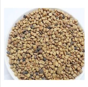 中药材 白牵牛籽 正品白丑 白牵牛子 散装新货500克