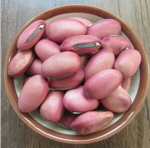 中药材店铺 刀豆子 红刀豆 刀豆种子广西魔豆 散装新鲜干货500g克